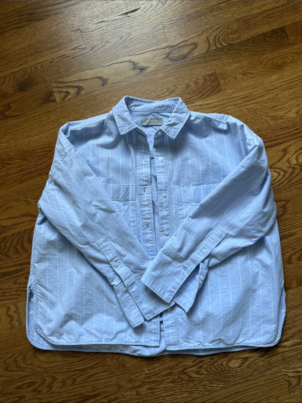 Everlane Light Blue Pinstripe Boxy Button-Up Shirt